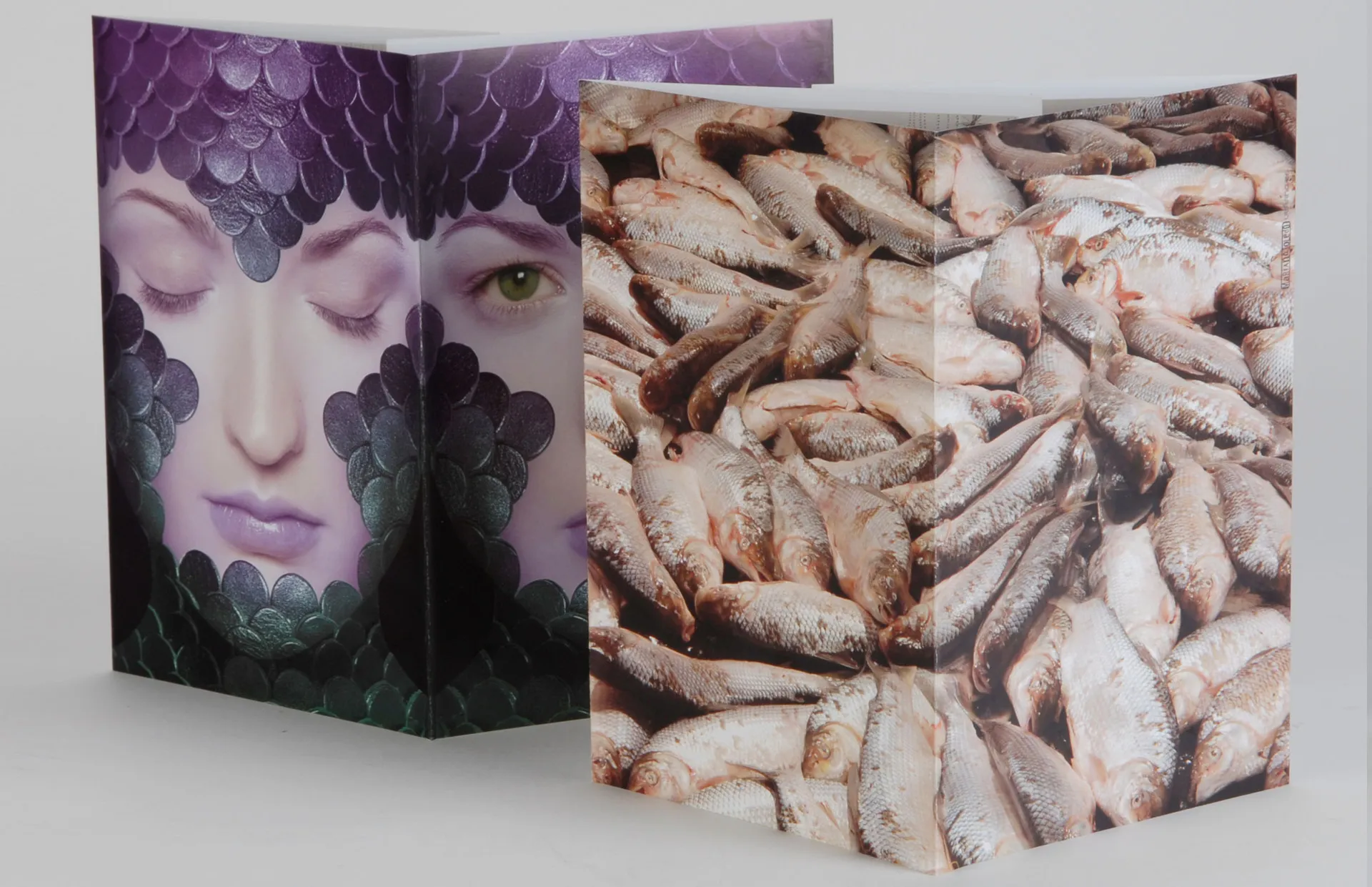 Mariano Toledo - Gallery Image 2